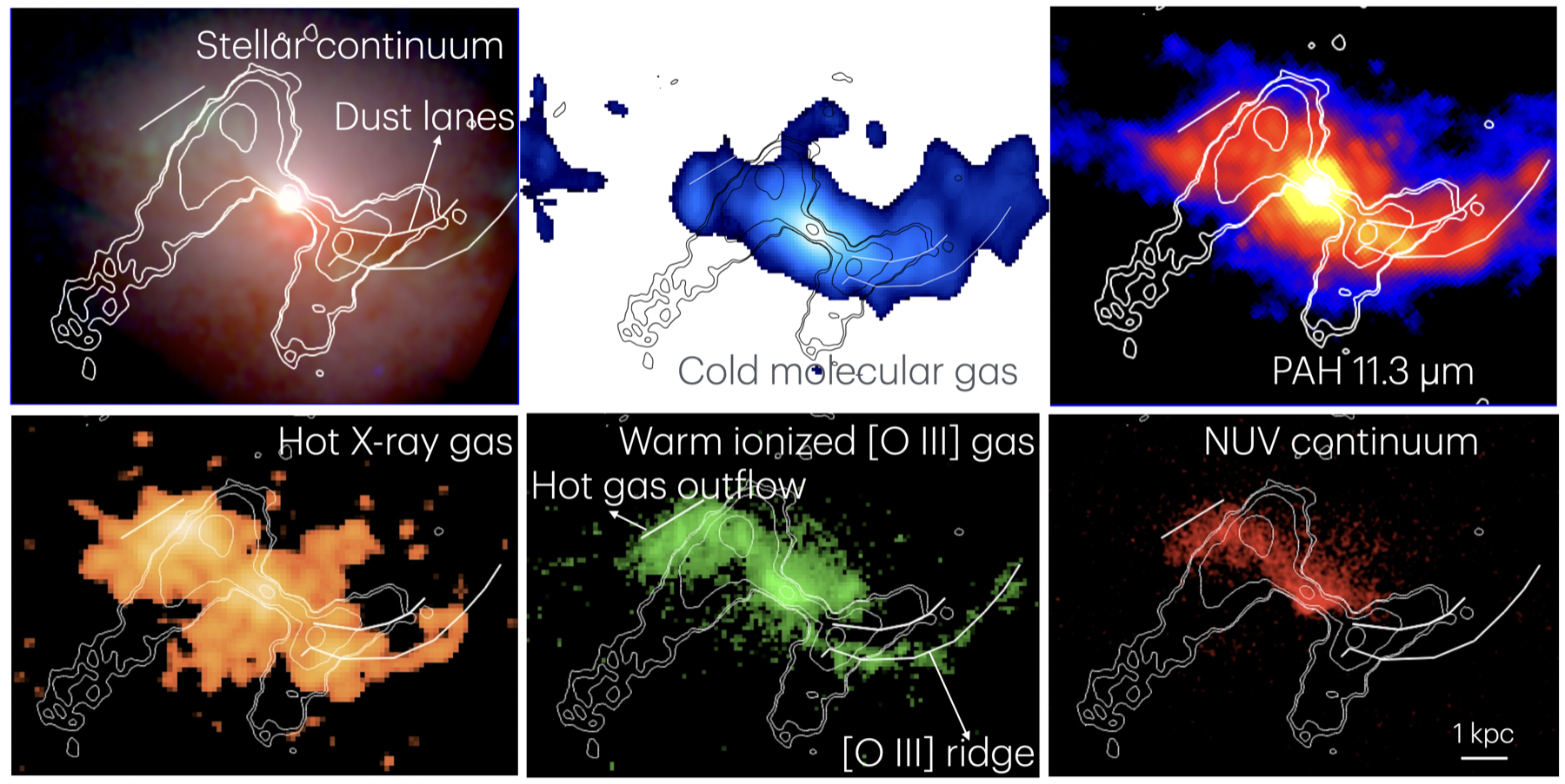 Multiphase gas maps of radio galaxy 3C 305 with radio-jet contours