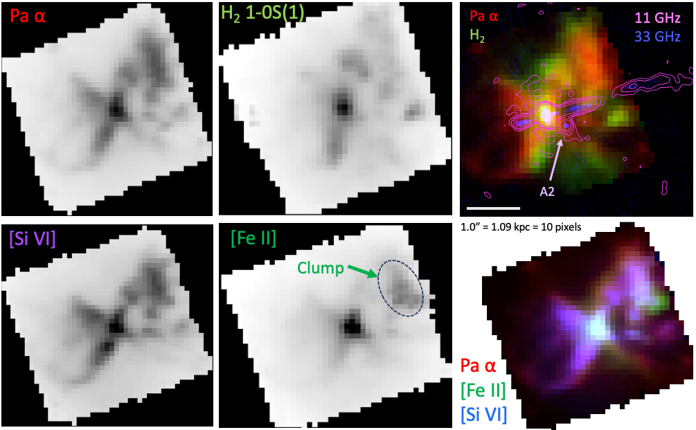 JWST NIRSpec maps of molecular, ionized, and coronal gas in Cygnus A