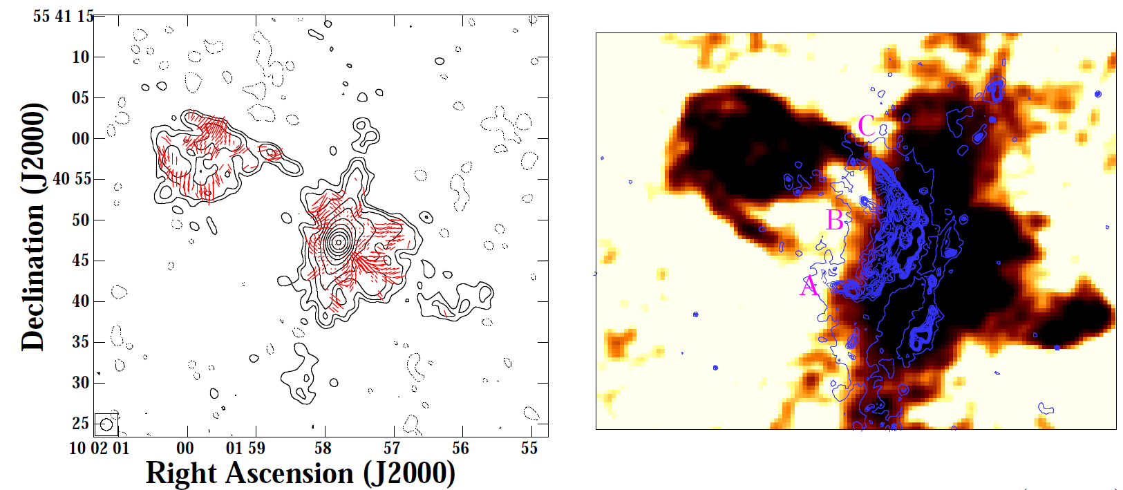Radio polarization and optical emission in Seyfert galaxy NGC 3079